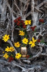 Liane Thibodeau - Driftwood Flowers small