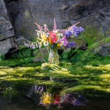 Liane Thibodeau -Clear Vase Flower Reflections (1 of 1) small
